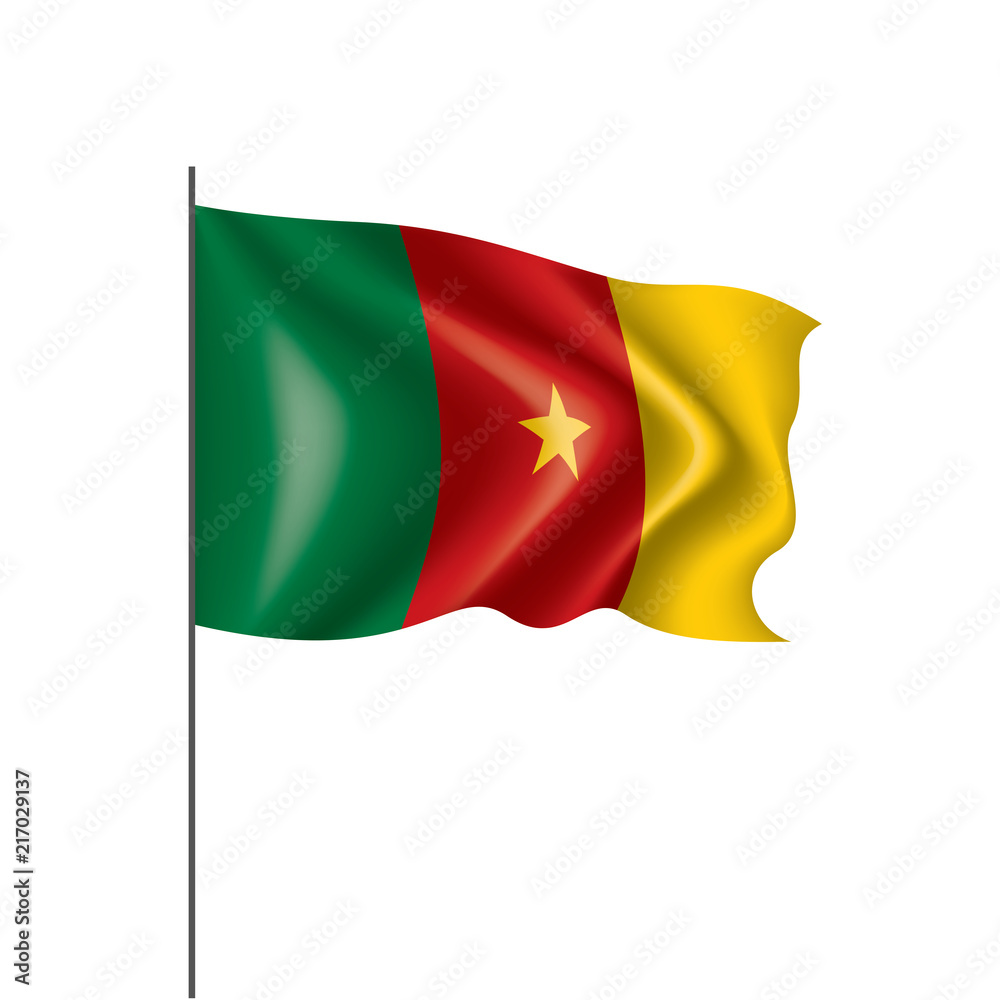 Cameroon flag, vector illustration on a white background