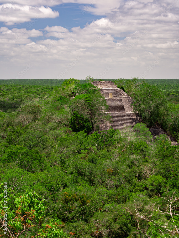 Ancient Mayan stone structure rising out of the jungle canopy at Calakmul, Mexico