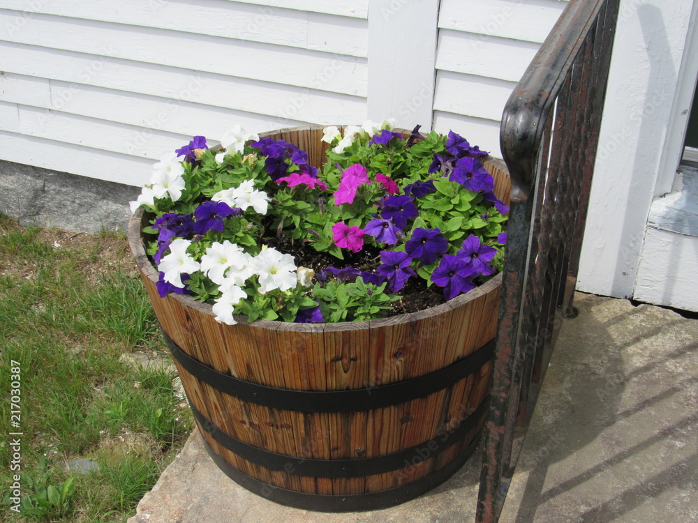 A barrel filled with multiple colorful flowers 