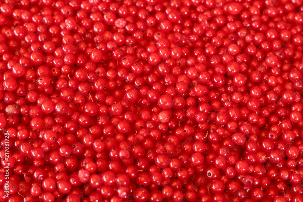 background. ripe juicy red currant berries. the view from the top background. ripe juicy red currant berries. the view from the top