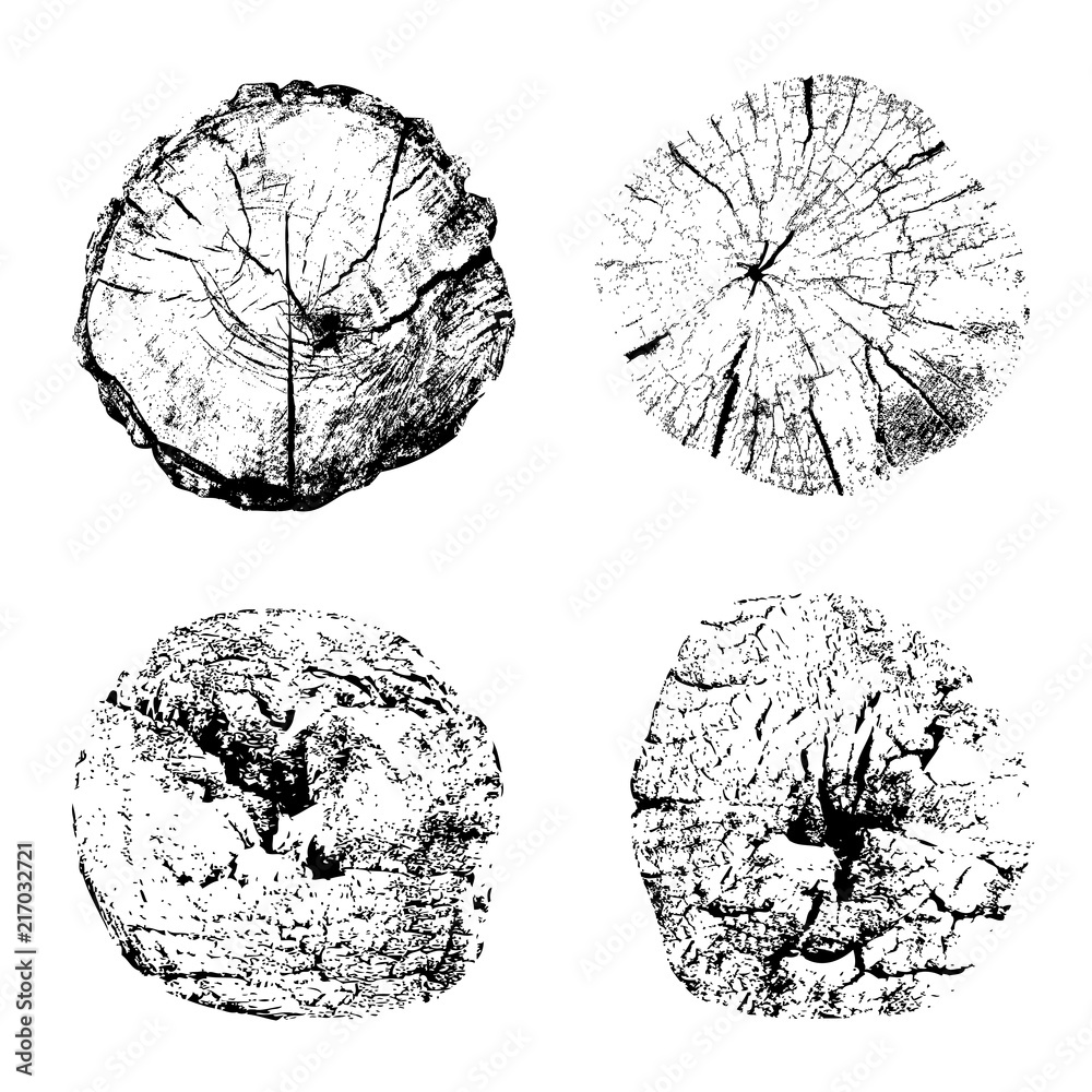 Top view of cut tree trunks isolated on white background. Textures of