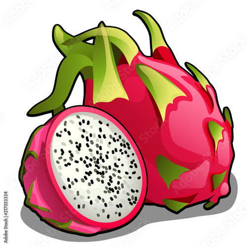 Set of whole and half of ripe pitahaya fruit or Hylocereus undatus, Dragon fruit. Element of a healthy diet. Delicious and healthy tropical fruits isolated on a white background. Vector illustration.