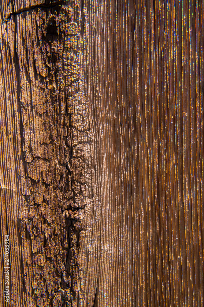 Fototapeta premium Close-up view of weathered wood grain texture background