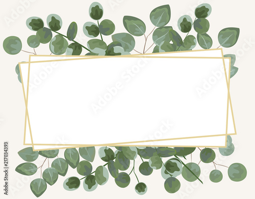 background for text from eucalyptus. gray and green eucalyptus.invitation, postcard with eucalyptus. rustic style, Botanical style. burp with greens. vector illustration
