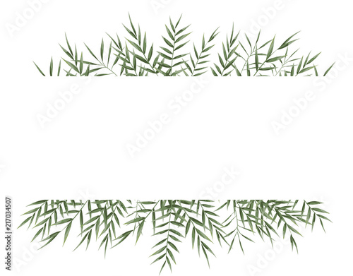 background for text from eucalyptus. gray and green eucalyptus.invitation, postcard with eucalyptus. rustic style, Botanical style. burp with greens. vector illustration