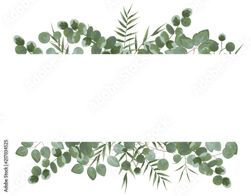 background for text from eucalyptus. gray and green eucalyptus.invitation, postcard with eucalyptus. rustic style, Botanical style. burp with greens. vector illustration photo
