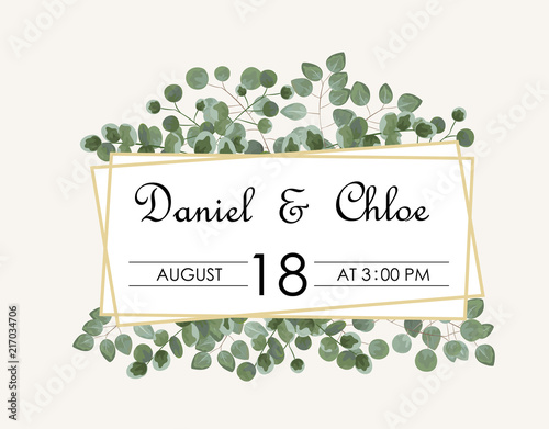 background for text from eucalyptus. gray and green eucalyptus.invitation, postcard with eucalyptus. rustic style, Botanical style. burp with greens. vector illustration