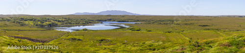 Farm with bog, mountains and vegetation in Clifden