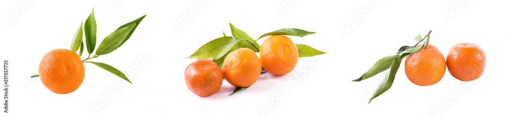Fresh mandarins isolated on white background. Oranges are arranged in rows. Placed on a white background. Fresh mandarins isolated on white background. Oranges are arranged in rows. Placed on a white background.