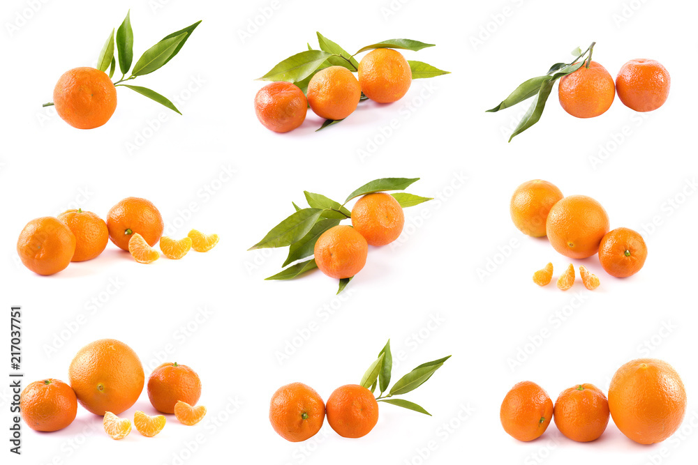 Fresh mandarins isolated on white background. Oranges are arranged in rows. Placed on a white background. Fresh mandarins isolated on white background. Oranges are arranged in rows. Placed on a white background.