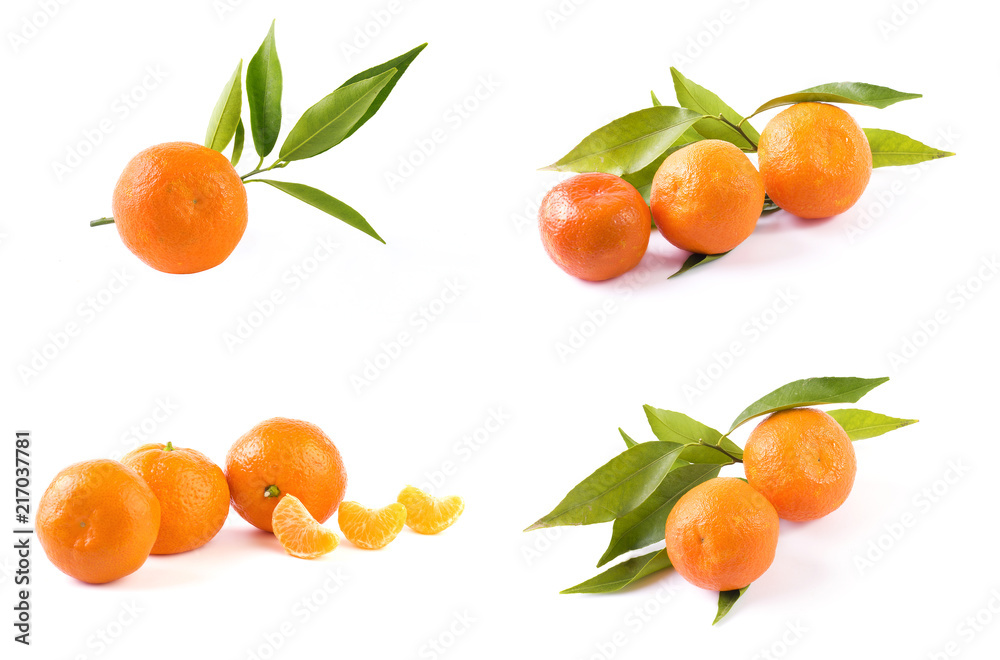 Fresh mandarins isolated on white background. Oranges are arranged in rows. Placed on a white background. Fresh mandarins isolated on white background. Oranges are arranged in rows. Placed on a white background.