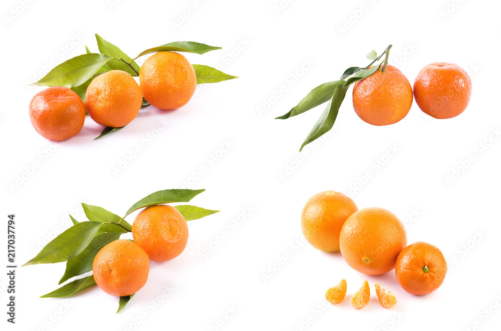 Fresh mandarins isolated on white background. Oranges are arranged in rows. Placed on a white background. Fresh mandarins isolated on white background. Oranges are arranged in rows. Placed on a white background.