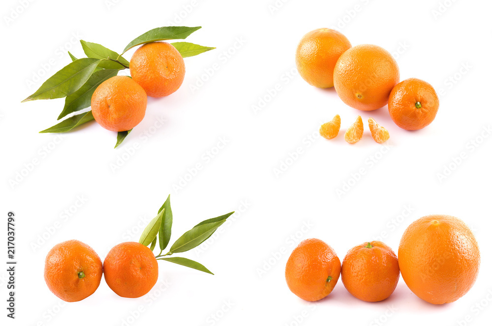 Fresh mandarins isolated on white background. Oranges are arranged in rows. Placed on a white background. Fresh mandarins isolated on white background. Oranges are arranged in rows. Placed on a white background.