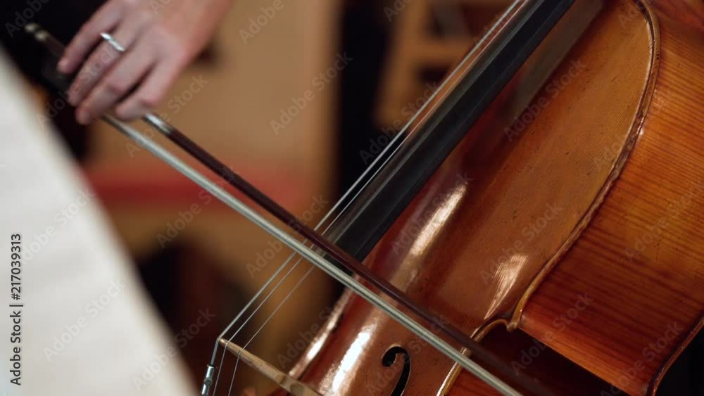 Symphony orchestra player is playing chello during the symphonic concert Symphony orchestra player is playing chello during the symphonic concert