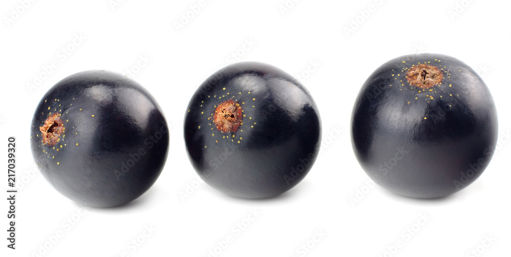 black currant isolated on white background. macro black currant isolated on white background. macro