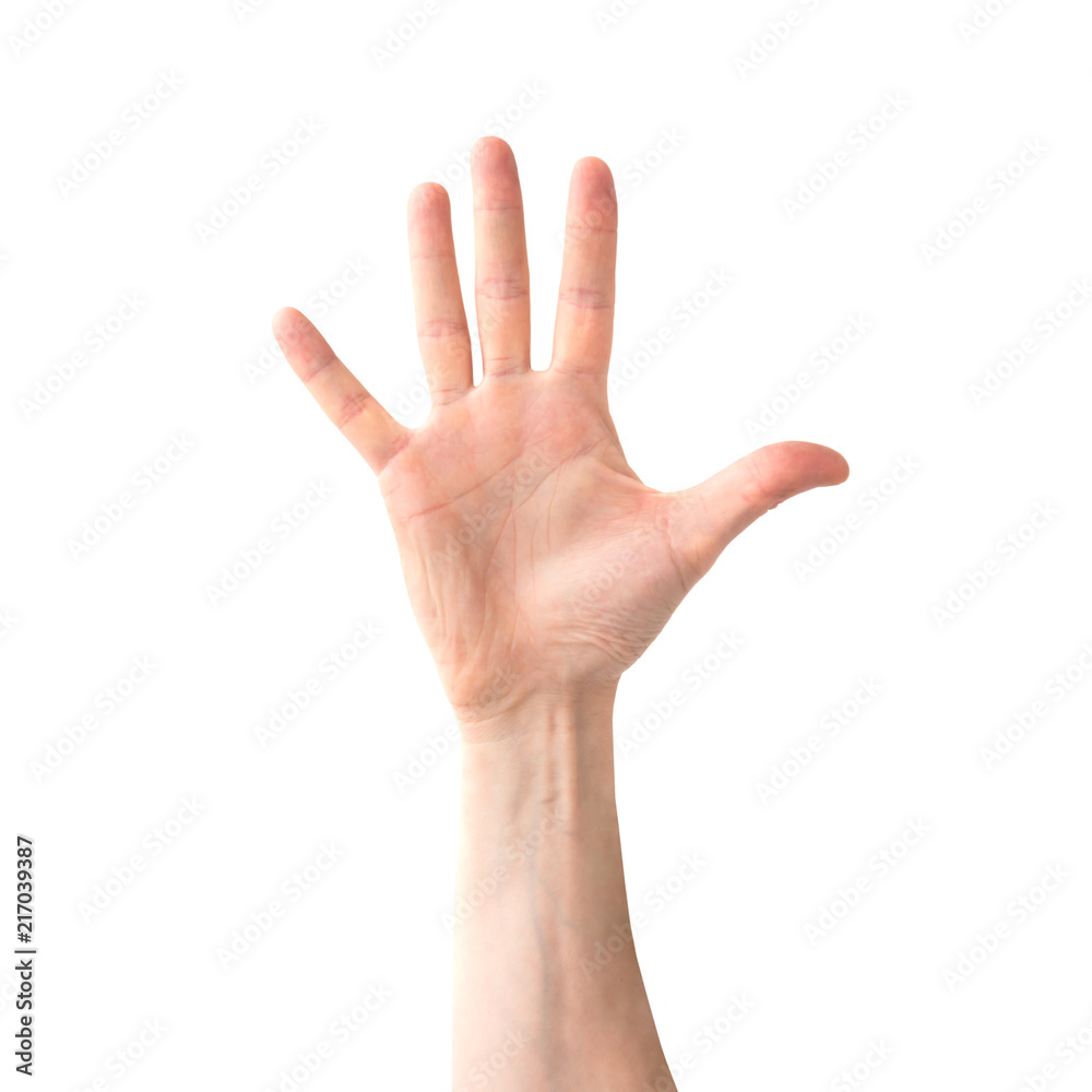 Woman open hand and five fingers isolated on white background Woman open hand and five fingers isolated on white background