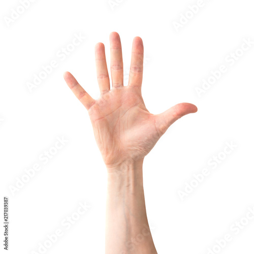Woman open hand and five fingers isolated on white background