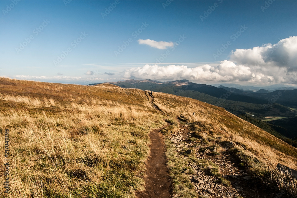 Obraz premium autumn Polonina Carynska in Bieszczady mountains in Poland