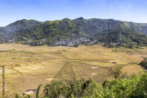 Villages on the outskirts of the famous Spider Rice Fields in Indonesia. photo