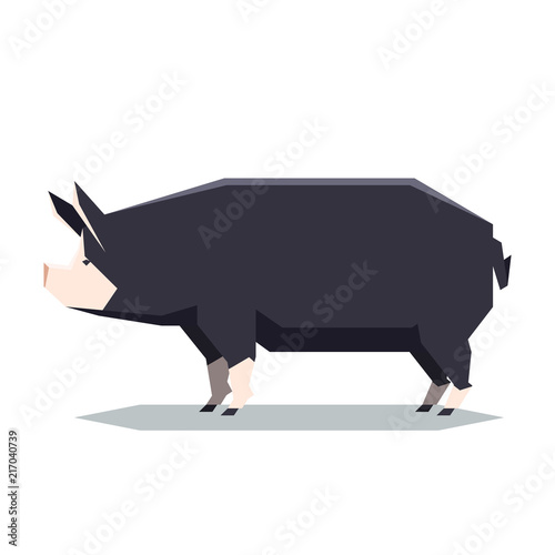 Flat geometric Berkshire pig