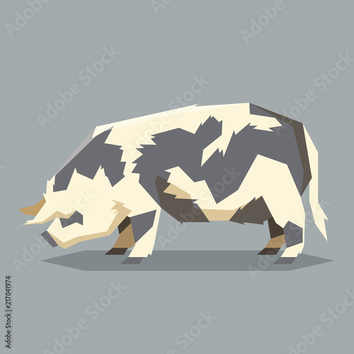 Flat geometric Kunekune pig