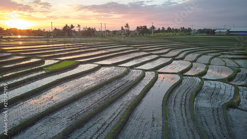 Aerial view of beautiful rice terraces at sunset, Bali.