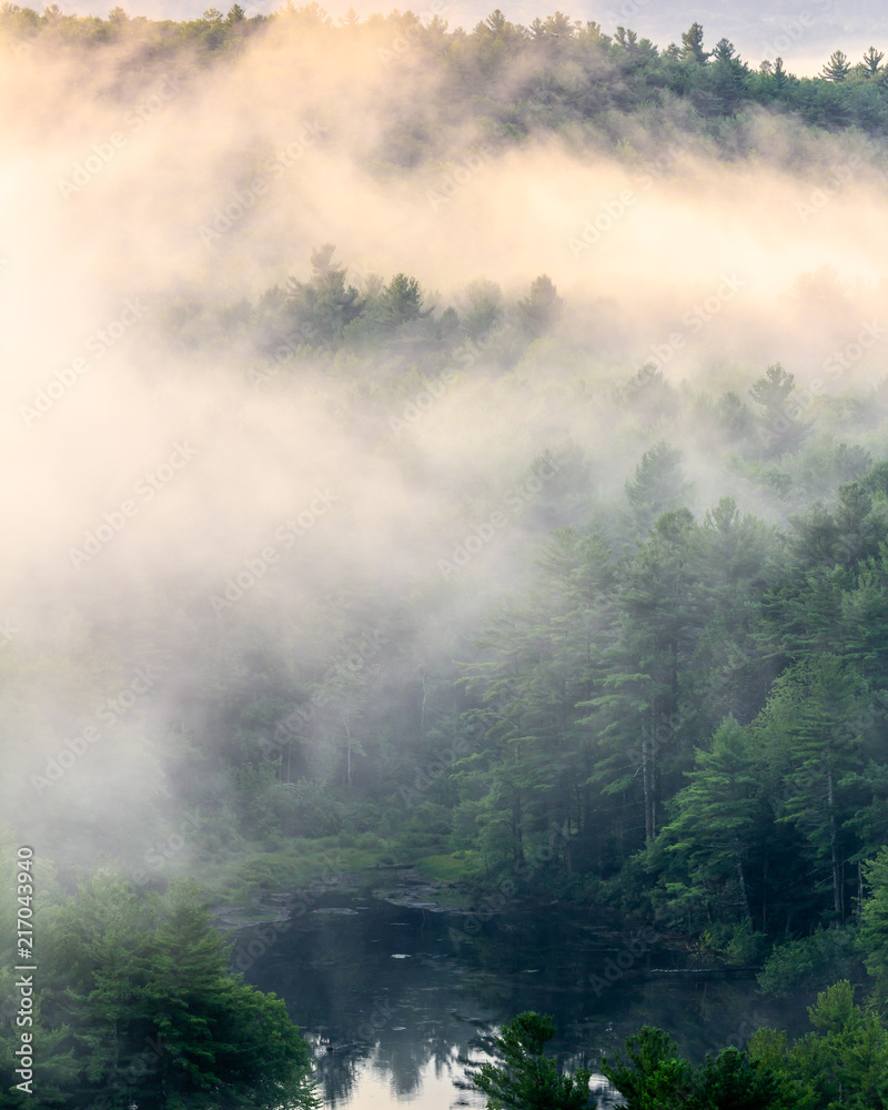 Morning Fog at Crow Hill Ledges