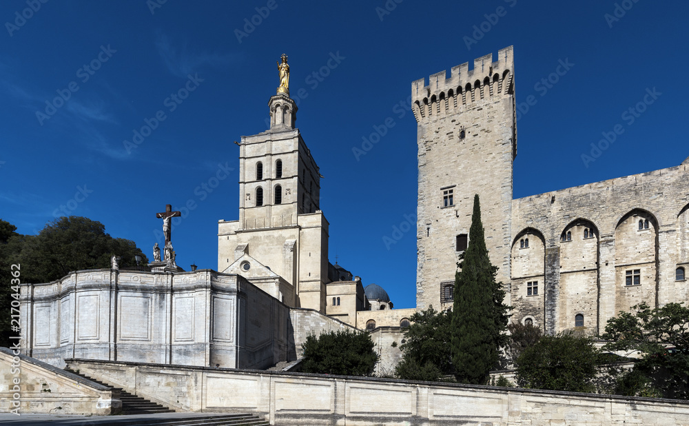 View of the Palace of the Popes and the Notra Dame Des Doms cathedral. Vaucluse, Provence, France, Europe.