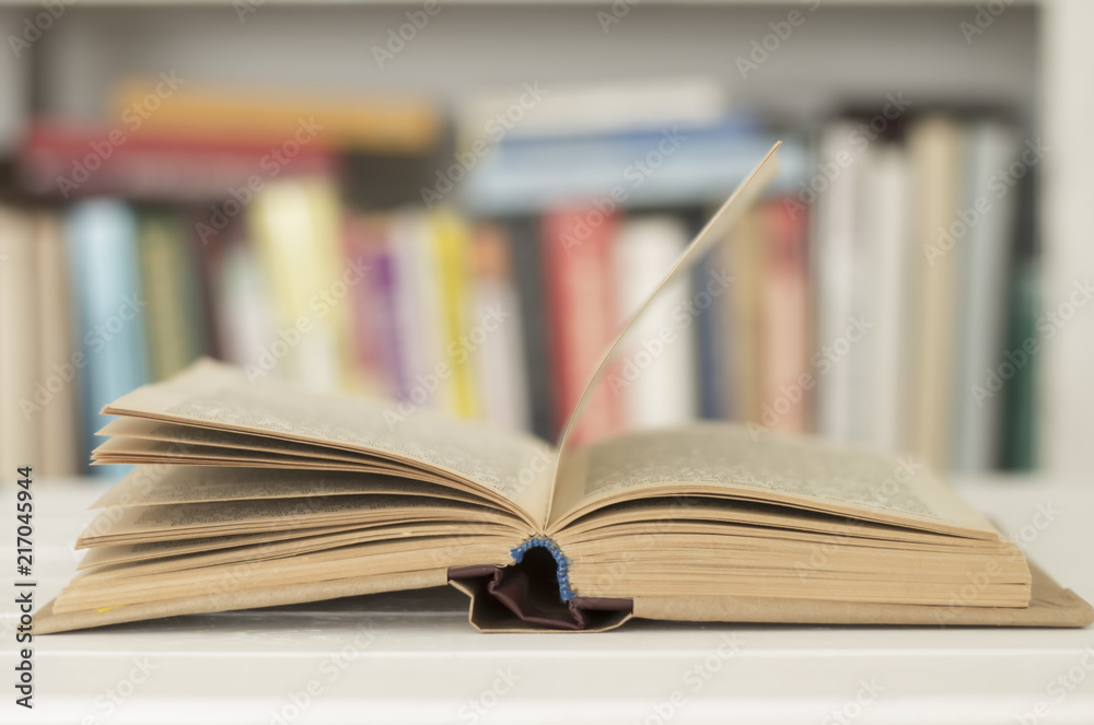 Fototapeta premium Opened book on the background of books. Reading. Literature.
