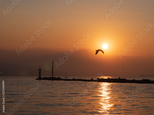 Sunset over the sea at modern city izmir, Turkey. Sunset or sunrise with seagull and clouds. the concept of tranquility, calm, rest and travel. © ersoy