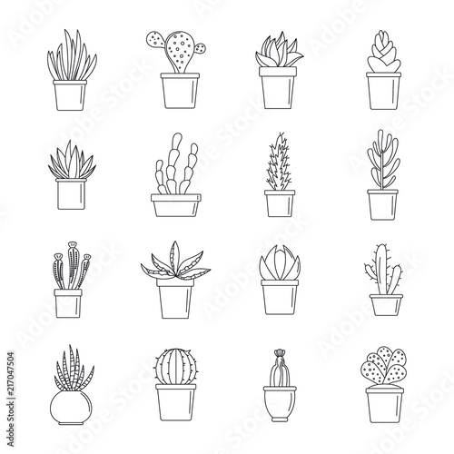 Succulent and cactus flowers plant floral icons set. Outline illustration of 16 succulent and cactus flowers plant floral vector icons for web