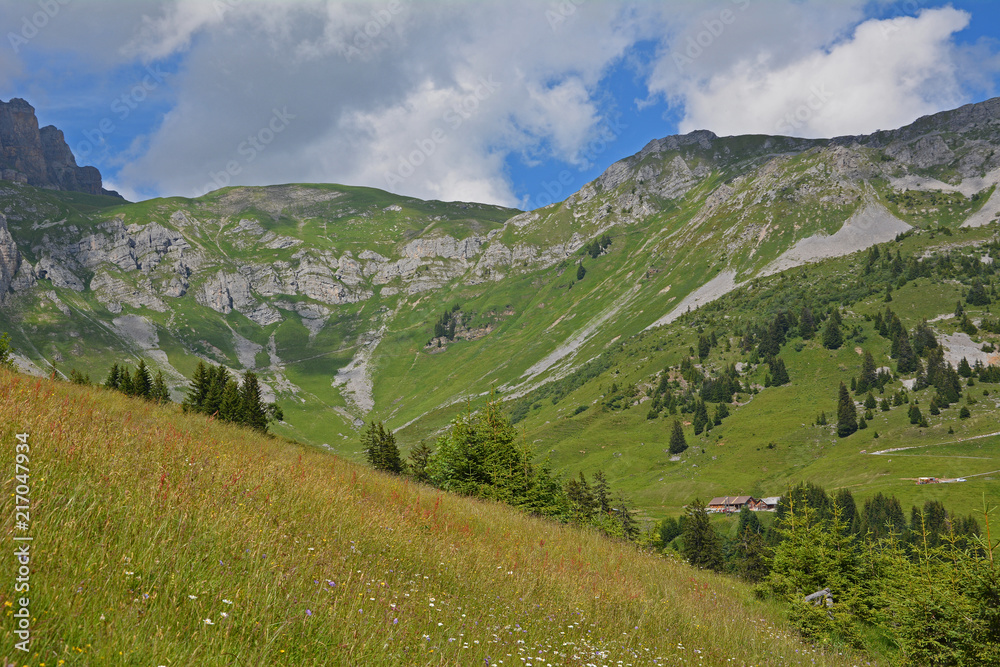Obraz premium Blick zum Chinzigpass (2073m)