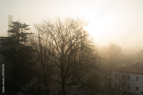 Foggy landscape at sunrise in Rovigo, a small town in the Po valley in Veneto near Venice. In the shot also the main landmark of the city, the Donà tower, an old medieval brick tall structure 