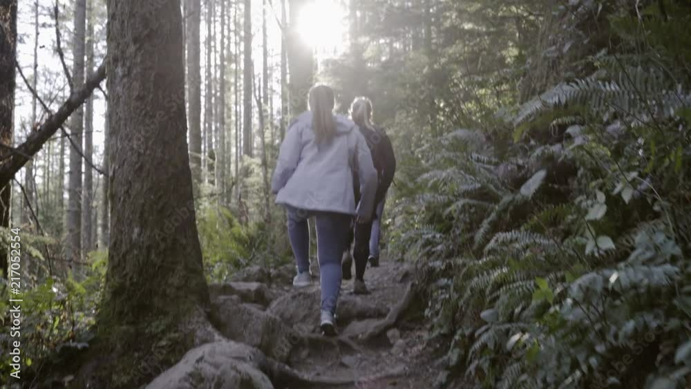 Hikers Walking Through Trail with Sun Leaking Through Trees Hikers Walking Through Trail with Sun Leaking Through Trees