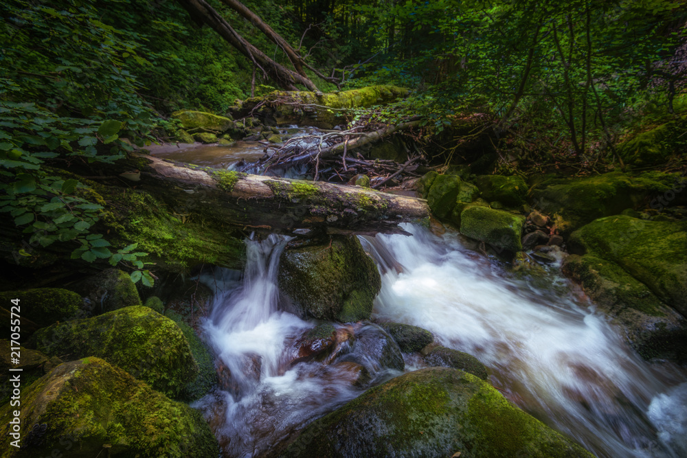Mountain river - stream flowing through thick green forest, Bistriski Vintgar, Slovenia Mountain river - stream flowing through thick green forest, Bistriski Vintgar, Slovenia