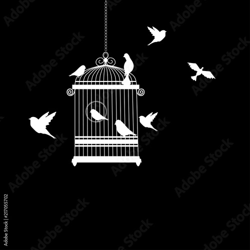 bird cage with birds flying vector illustration