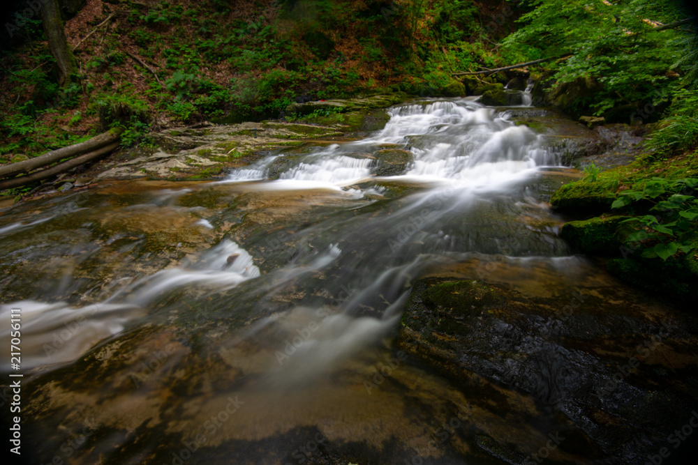 Fototapeta premium Mountain river - stream flowing through thick green forest, Bistriski Vintgar, Slovenia