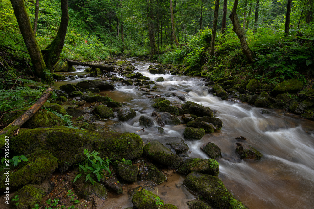 Mountain river - stream flowing through thick green forest, Bistriski Vintgar, Slovenia