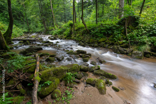 Mountain river - stream flowing through thick green forest, Bistriski Vintgar, Slovenia photo