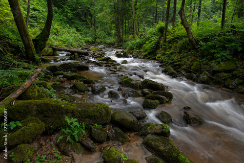 Mountain river - stream flowing through thick green forest  Bistriski Vintgar  Slovenia