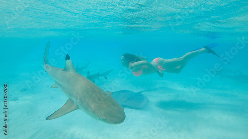 UNDERWATER  Young woman in bikini swims in the exotic sea filled with sharks.