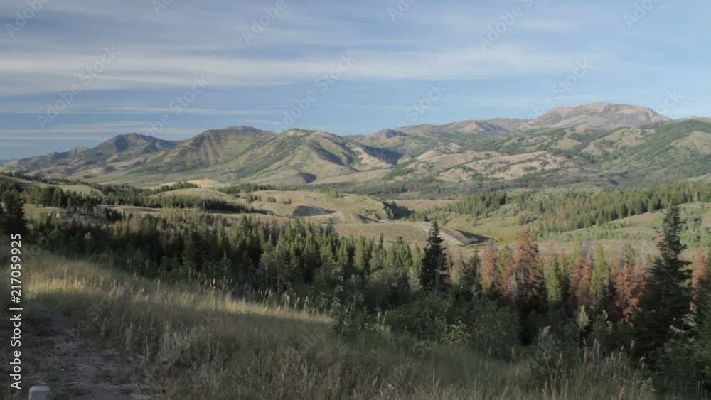 Bridger National Park, Wyoming, United States Bridger National Park, Wyoming, United States