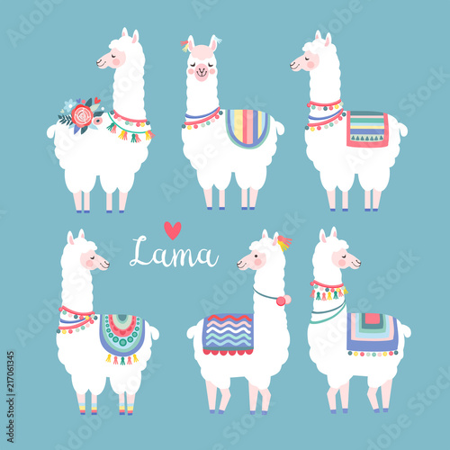 Lama alpaca or guanaco graphic elements. Isolated vector objects, flat design