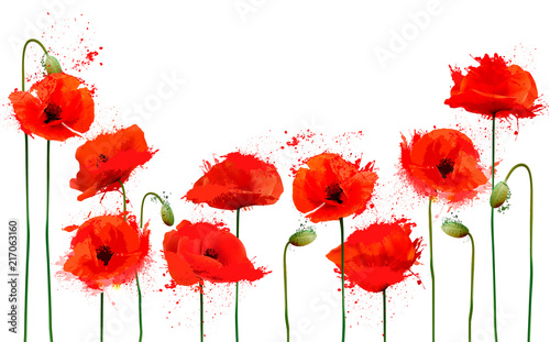 Beautiful abstract  background with red poppies flowers. Vector.