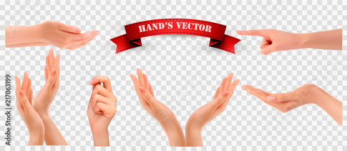 Set of hands on transparent background.Vector
