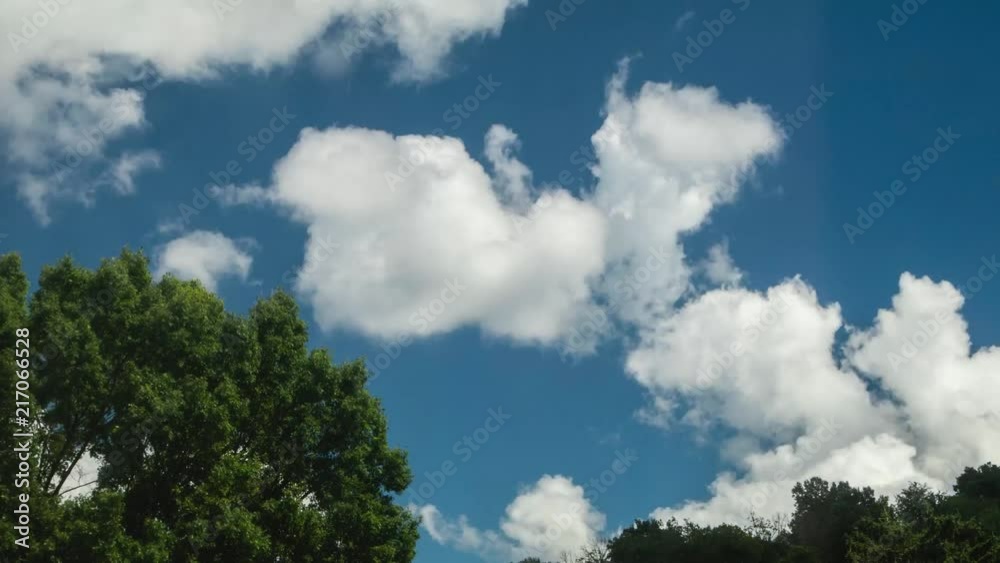 White and grey clouds rolling over tall green trees White and grey clouds rolling over tall green trees