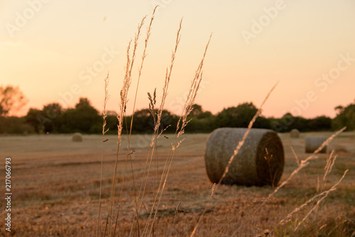 Straw Bales at sunset.
