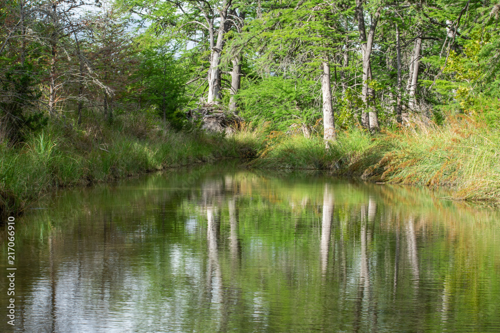 Fototapeta premium Swimming Hole