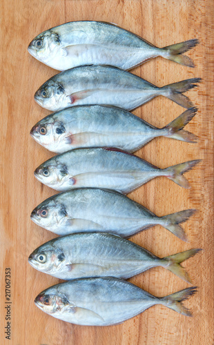 Yellow Tail Scad fish, Decapterus fish, on a wood plate photo