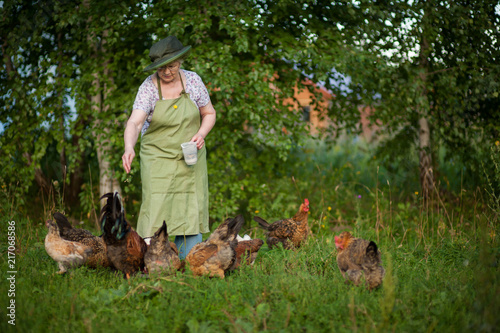 an elderly Russian woman in a hat feeds the chickens in the yard